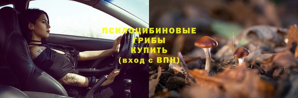 скорость mdpv Елизово
