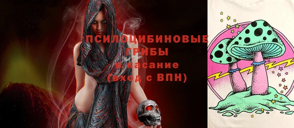 а пвп мука Елабуга