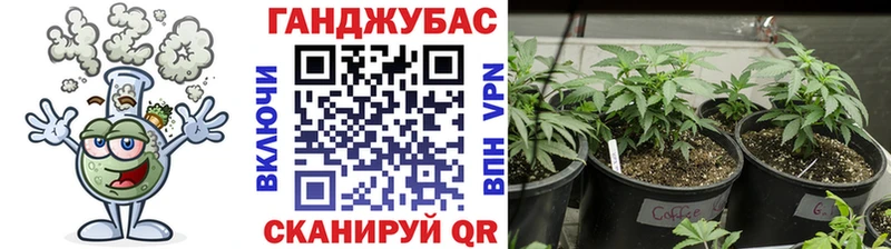 Купить  Каргат  Канабис ГИДРОПОН 